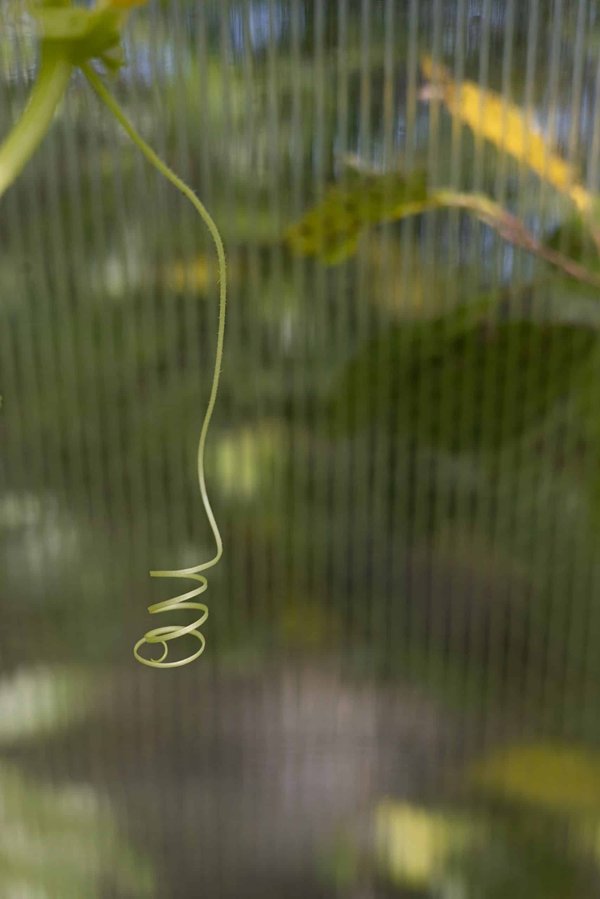 What Are the Latest Techniques in Sustainable Urban Logistics for Businesses?